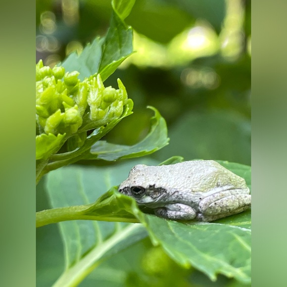 Ali’s This & That 🌸 - Picture 14 of 14